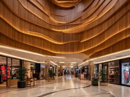 Огнезащитные лаки. лак